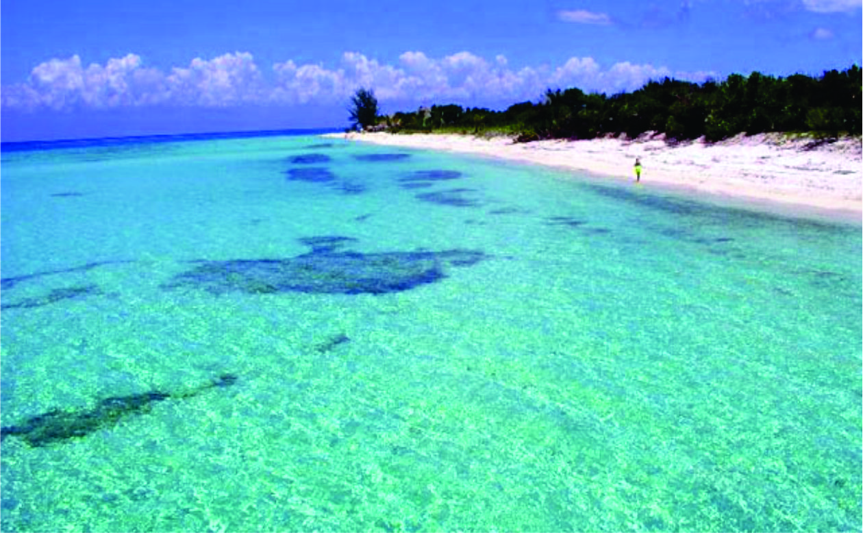 cozumel snorkel tour playa del carmen